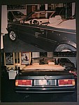 505coupe4.jpg
